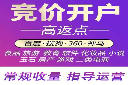 精选案例分享：SEM代运营公司效果展示